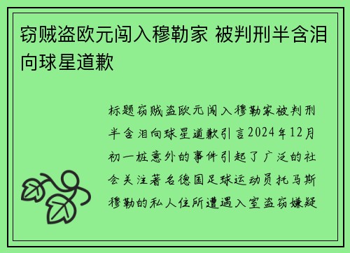 窃贼盗欧元闯入穆勒家 被判刑半含泪向球星道歉