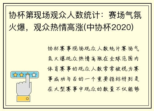 协杯第现场观众人数统计：赛场气氛火爆，观众热情高涨(中协杯2020)