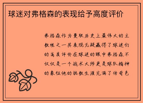 球迷对弗格森的表现给予高度评价